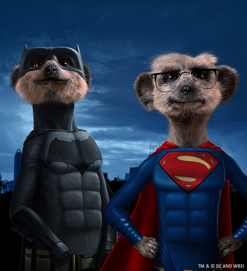 Comparethemarket.com has linked up with Warner Bros. Pictures to offer limited edition Aleksandr and Sergei toys with the two brand characters as Batman and Superman respectively.