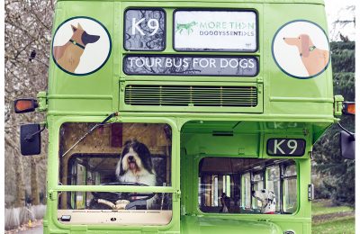 Insurance brand More Than has launched what it claims is the world’s first ever city tour bus for dogs, with every element of the experience designed to appeal to man’s best friend, in London.