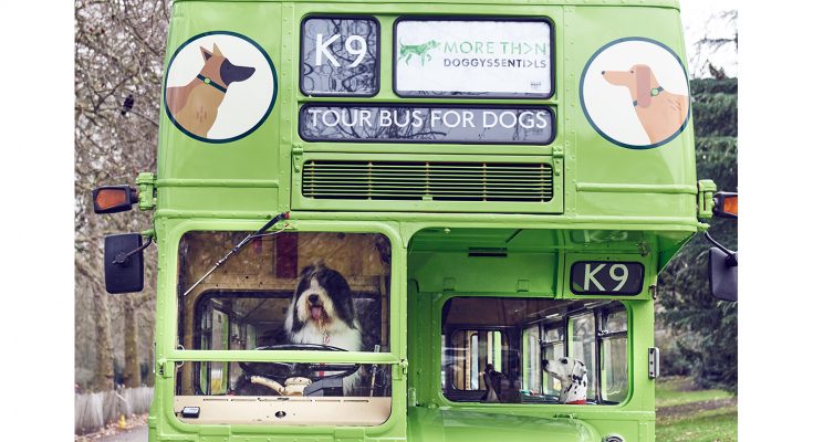 Insurance brand More Than has launched what it claims is the world’s first ever city tour bus for dogs, with every element of the experience designed to appeal to man’s best friend, in London.