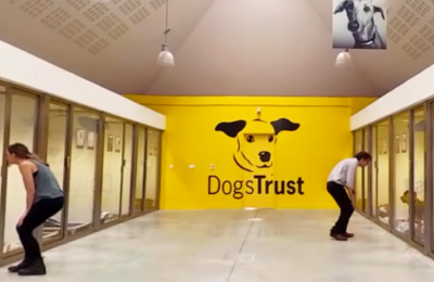 Dogs Trust is running create an immersive virtual reality experience to engage the public and demonstrate the impact donors can have for the thousands of dogs each year that the charity cares for.