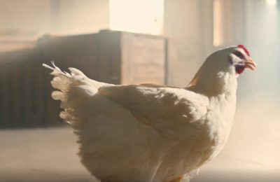 KFC’s ‘Dancing Chicken’ ad – featuring a chicken dancing to rap music -- was the ad which generated the most consumer complaints in 2017, according to the Advertising Standards Authority’s Top 10 ranking of the year’s most complained about ads.