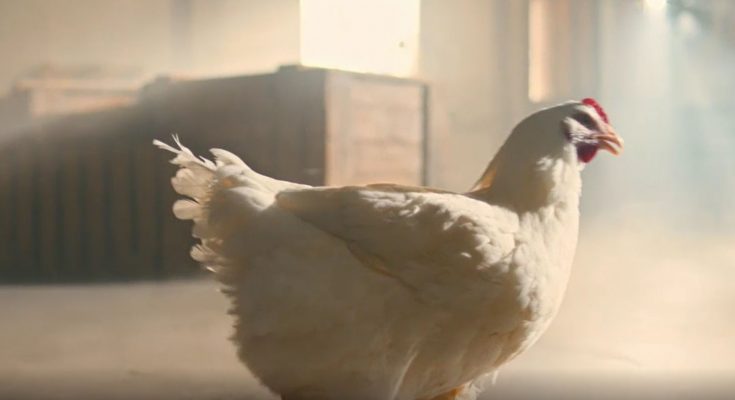 KFC’s ‘Dancing Chicken’ ad – featuring a chicken dancing to rap music -- was the ad which generated the most consumer complaints in 2017, according to the Advertising Standards Authority’s Top 10 ranking of the year’s most complained about ads.