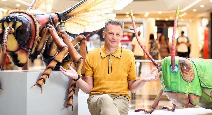 Shopping centre owner intu has launched Big Bugs On Tour, an experiential roadshow backed by naturalist Chris Packham that brings adults and children face-to-face with 12 giant British bugs at 13 malls nationwide. Photo credit Matt Alexander/intu